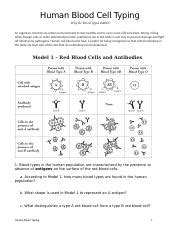 human blood cell typing answers pogil PDF