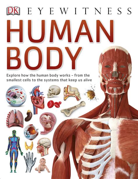 human body dk eyewitness books Epub