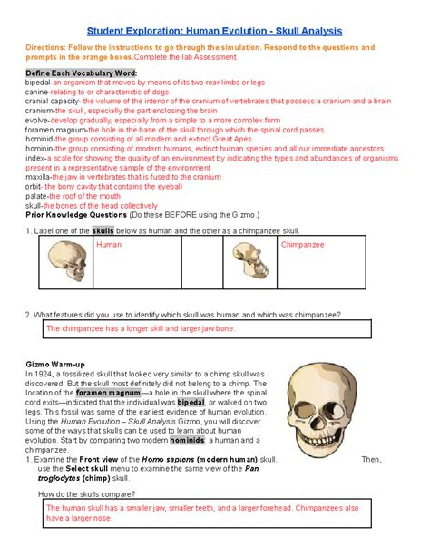 human evolution skull analysis gizmo answers PDF