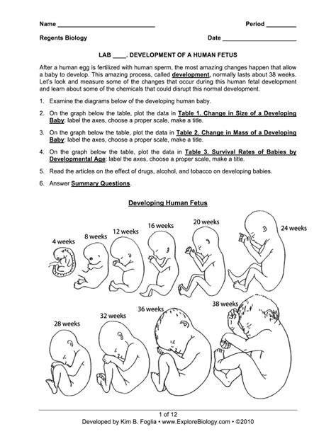 human fetal development lab answers Ebook Kindle Editon