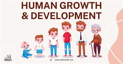 human growth and development class