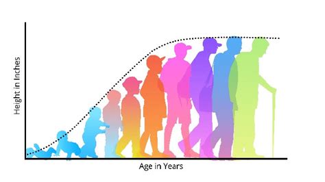 human growth and development through the lifespan Doc