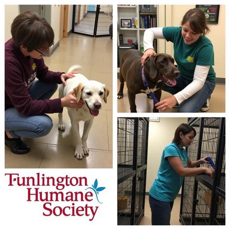 humane society burlington vt