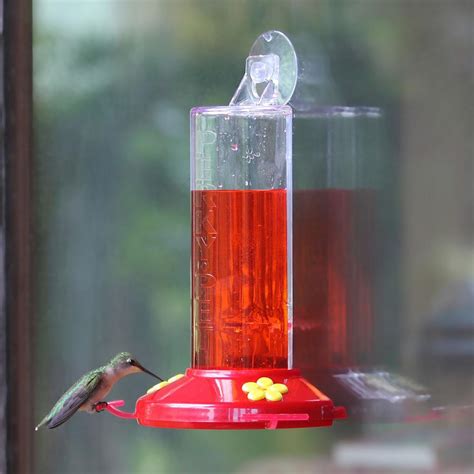 hummingbird feeder window