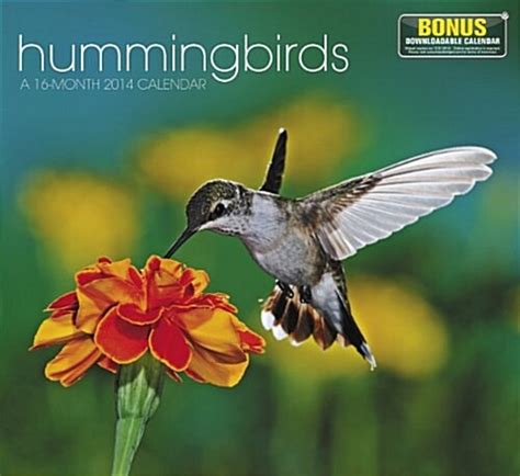 hummingbirds 2014 wall calendar Doc