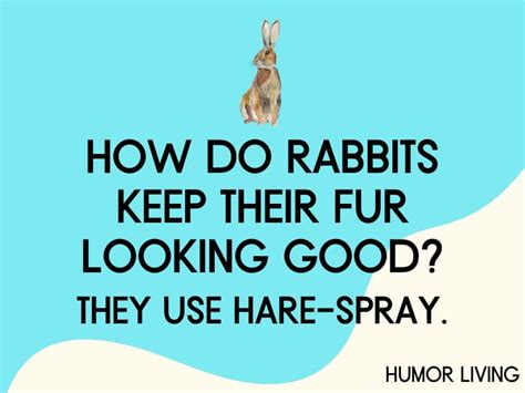 humor cream of bunny