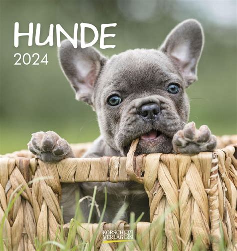 hunde 2016 dogs postkartenkalender 15 PDF
