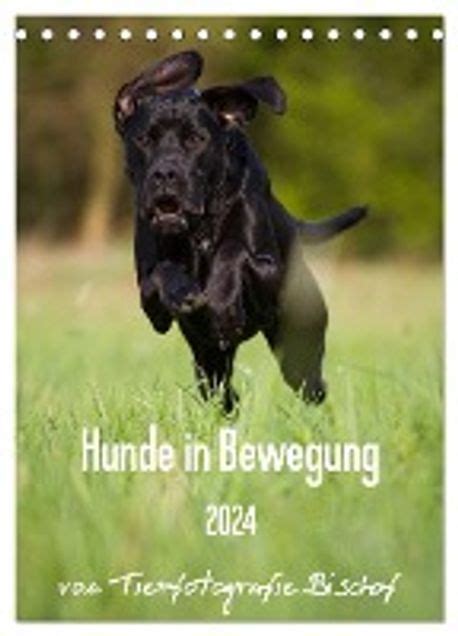 hunde bewegung tierfotografie bischof tischkalender PDF