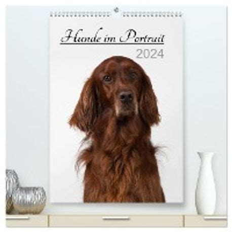hunde portrait wandkalender 2016 hoch Doc