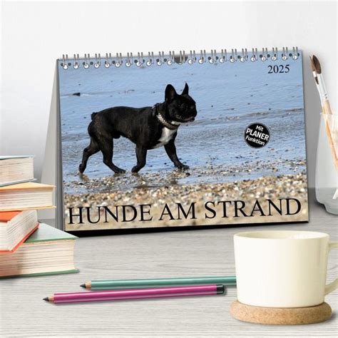 hunde strand tischkalender 2016 quer Doc