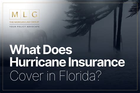 hurricane insurance florida