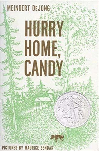 hurry home candy harper trophy books PDF