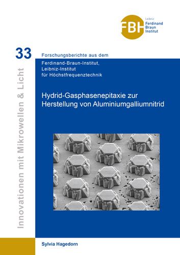 hybrid gasphasenepitaxie zur herstellung von aluminiumgalliumnitrid Kindle Editon