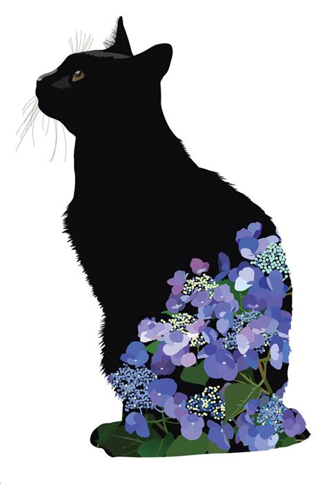 hydrangea cats