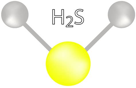 hydrogen sulfide (H2S)