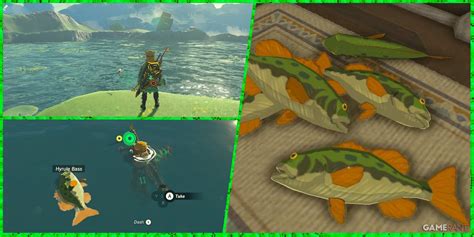 hyrule bass totk