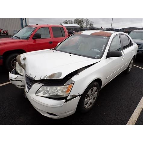 hyundai sonata 2009 problems Kindle Editon