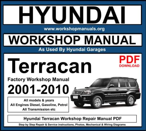 hyundai terracan service manual free download Doc
