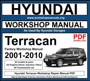 hyundai terracan service manual free download Doc