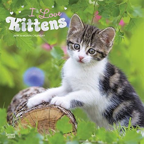 i love kittens calendar multilingual edition Doc