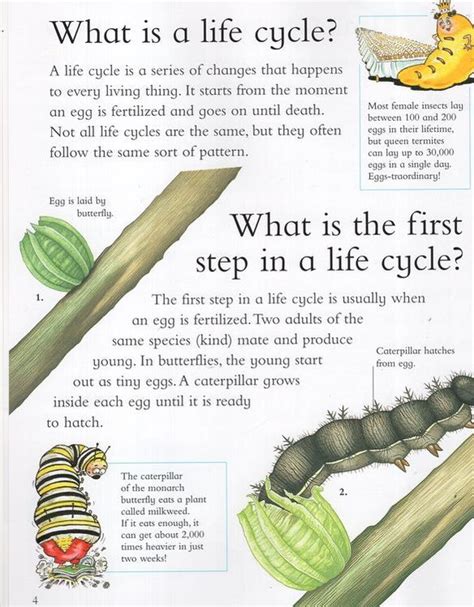 i wonder why caterpillars eat so much and other questions about life cycles Reader