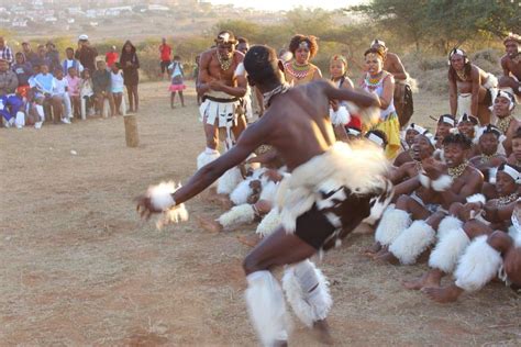 iMisuZulu: Indlondlo Enkulu YaseNingizimu Afrika