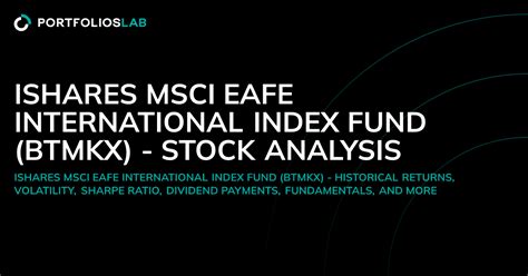 iShares MSCI EAFE International Index K: A Comprehensive Analysis