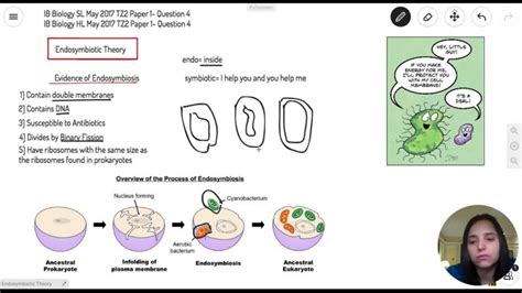 ib biology sl past paper 2013 Epub