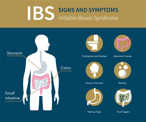 ibs take control insights into irritable bowel syndrome Kindle Editon