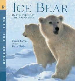 ice bear in the steps of the polar bear Reader