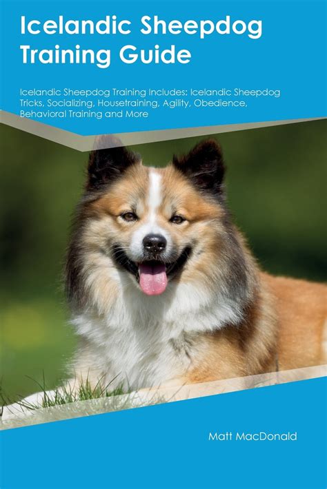 icelandic sheepdog training guide book Doc