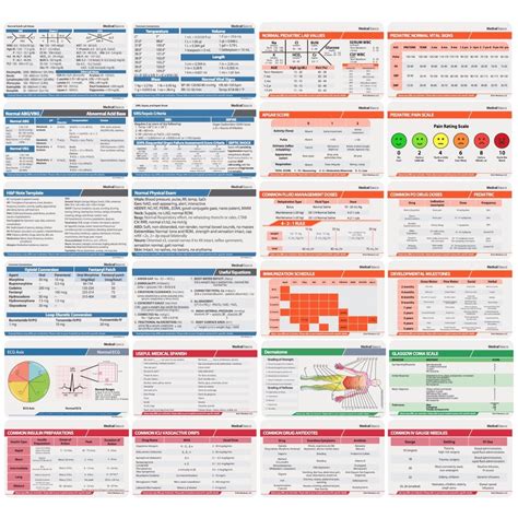 id badge medical reference cheat sheets documentation Epub