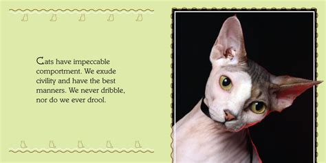 id rather be a cat the official better than dogs cat book Doc