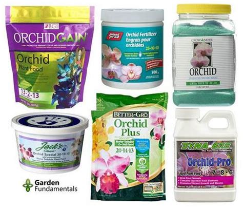 ideal ration for orchid fertilizer