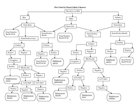 identification of unknown bacteria flowchart Kindle Editon