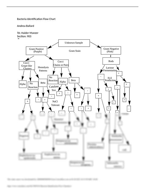 identification-of-unknown-bacteria-flowchart Ebook Doc