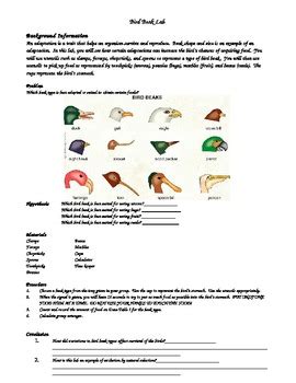 identifying adaptations in birds lab key Kindle Editon