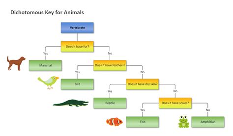 identifying vertebrates using dichotomous key Kindle Editon