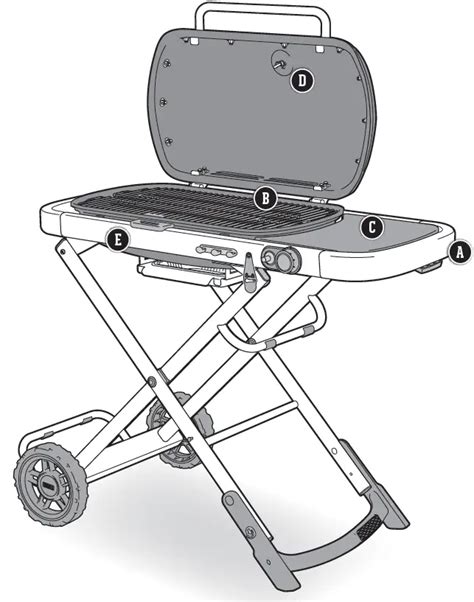 ignis portable gas barbecue user guide PDF