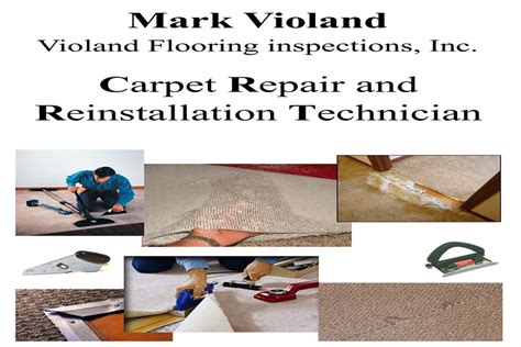iicrc carpet cleaning technician manual Epub