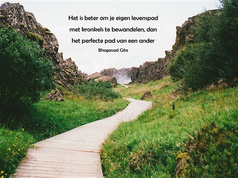 ik ga altijd uit de weg voor een andere ezel Reader