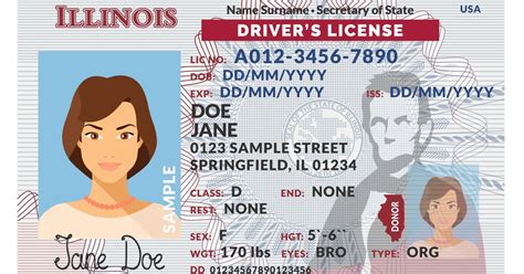 illinois driver's license appointment