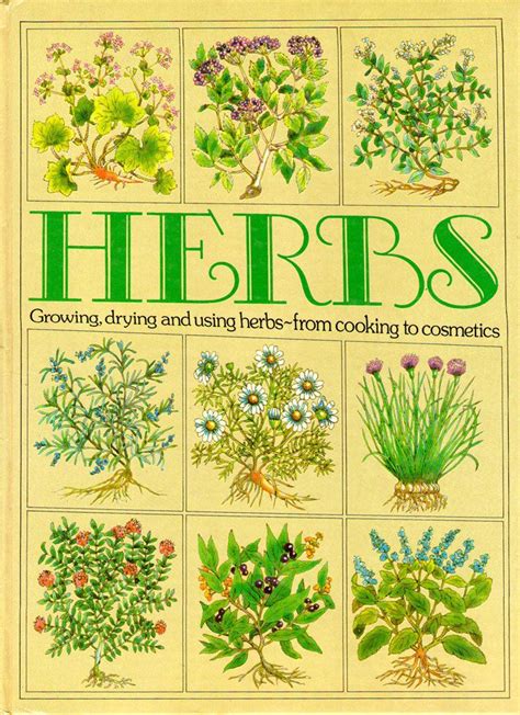 illustrated book of herbs their medicinal and culinary uses Reader