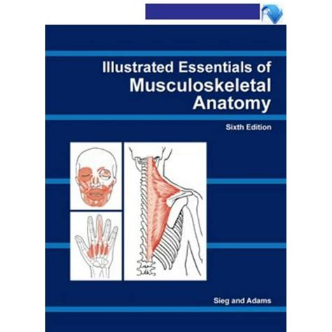 illustrated essentials of musculoskeletal anatomy Epub