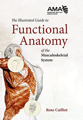 illustrated guide to functional anatomy pdf Doc