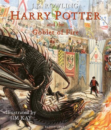 illustrated hp books