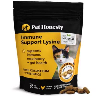 immune system support for cats