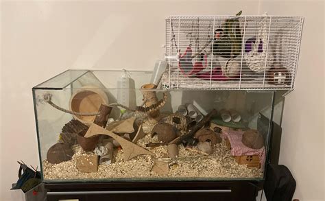 Implementing Mouse Hasbandry Cage Catalog System Records