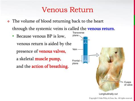 improve venous return