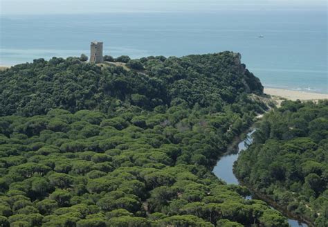 in de maremma verslag van het leven op een boederij in toscane Epub